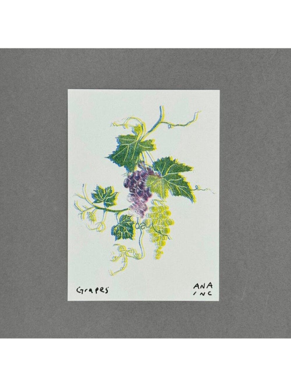 Ana Inciardi Grapes Mini Art Print